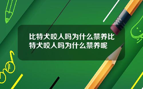 比特犬咬人吗为什么禁养比特犬咬人吗为什么禁养呢