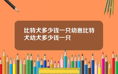 比特犬多少钱一只幼崽比特犬幼犬多少钱一只