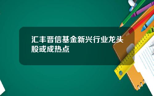 汇丰晋信基金新兴行业龙头股或成热点