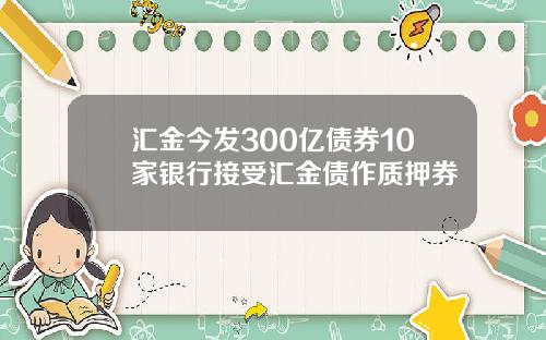 汇金今发300亿债券10家银行接受汇金债作质押券