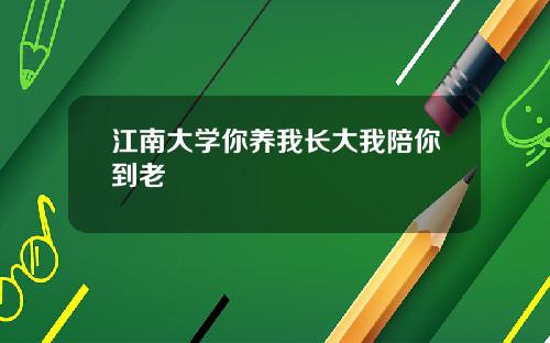 江南大学你养我长大我陪你到老