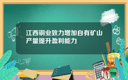 江西铜业致力增加自有矿山产量提升盈利能力