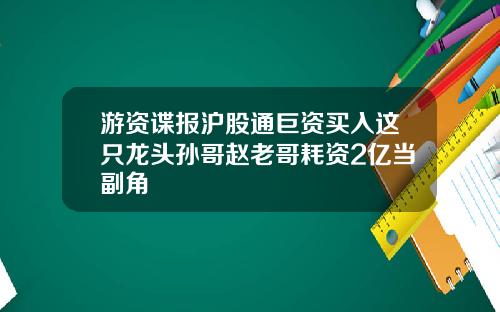 游资谍报沪股通巨资买入这只龙头孙哥赵老哥耗资2亿当副角