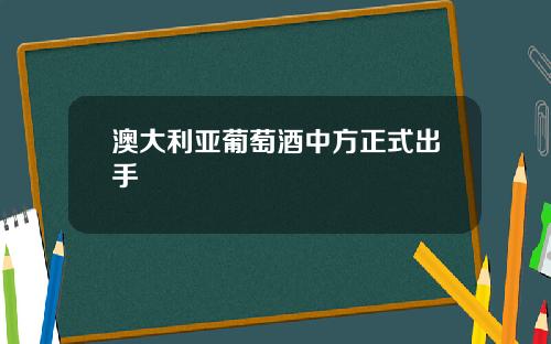 澳大利亚葡萄酒中方正式出手