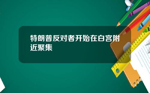 特朗普反对者开始在白宫附近聚集