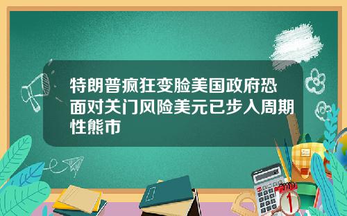 特朗普疯狂变脸美国政府恐面对关门风险美元已步入周期性熊市