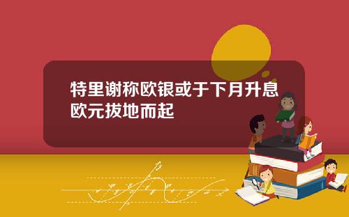 特里谢称欧银或于下月升息欧元拔地而起