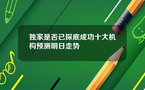 独家是否已探底成功十大机构预测明日走势