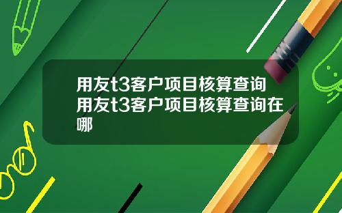 用友t3客户项目核算查询用友t3客户项目核算查询在哪