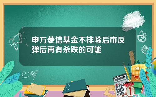 申万菱信基金不排除后市反弹后再有杀跌的可能