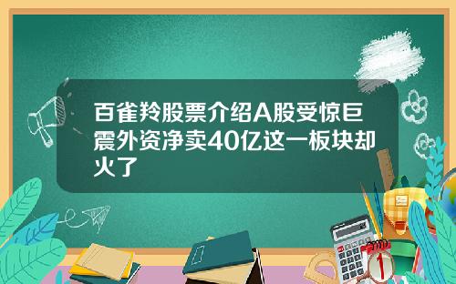 百雀羚股票介绍A股受惊巨震外资净卖40亿这一板块却火了