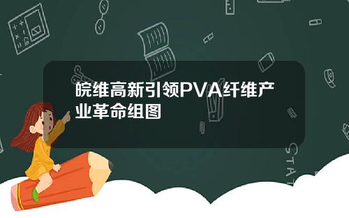 皖维高新引领PVA纤维产业革命组图