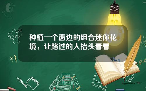 种植一个窗边的组合迷你花境，让路过的人抬头看看