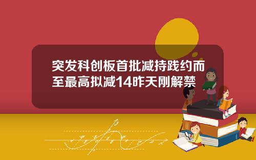 突发科创板首批减持践约而至最高拟减14昨天刚解禁