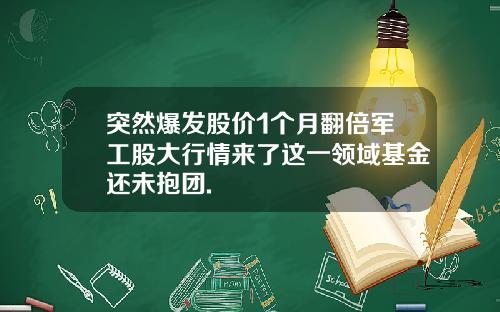 突然爆发股价1个月翻倍军工股大行情来了这一领域基金还未抱团.