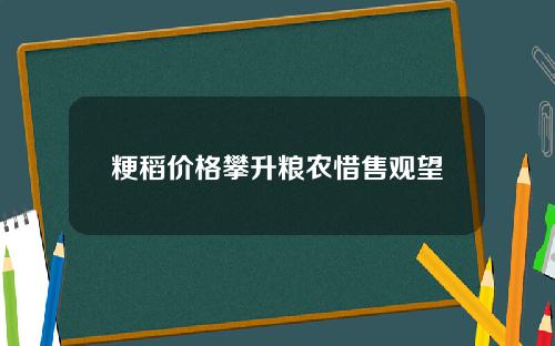 粳稻价格攀升粮农惜售观望