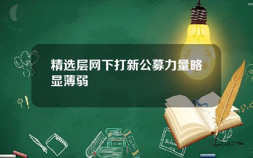 精选层网下打新公募力量略显薄弱