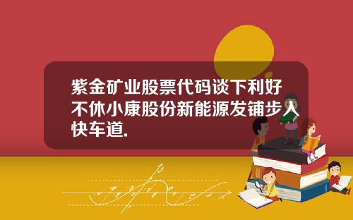 紫金矿业股票代码谈下利好不休小康股份新能源发铺步入快车道.