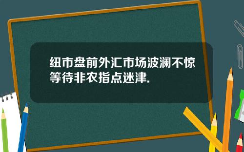 纽市盘前外汇市场波澜不惊等待非农指点迷津.