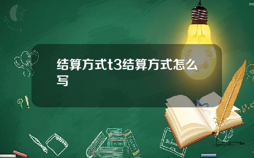 结算方式t3结算方式怎么写