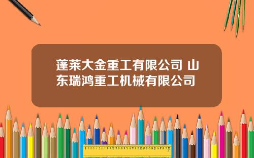 蓬莱大金重工有限公司 山东瑞鸿重工机械有限公司