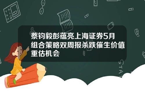 蔡钧毅彭蕴亮上海证券5月组合策略双周报杀跌催生价值重估机会