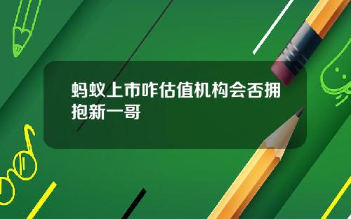 蚂蚁上市咋估值机构会否拥抱新一哥