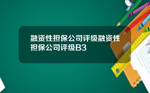 融资性担保公司评级融资性担保公司评级B3