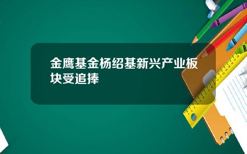 金鹰基金杨绍基新兴产业板块受追捧