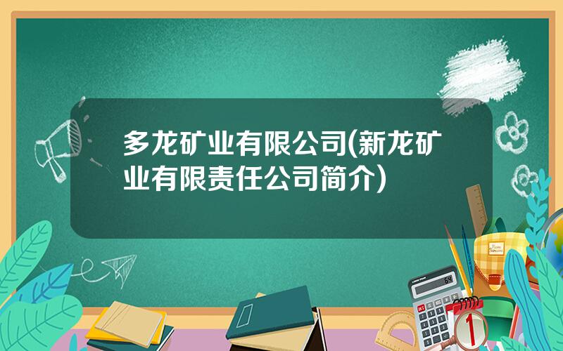 多龙矿业有限公司(新龙矿业有限责任公司简介)