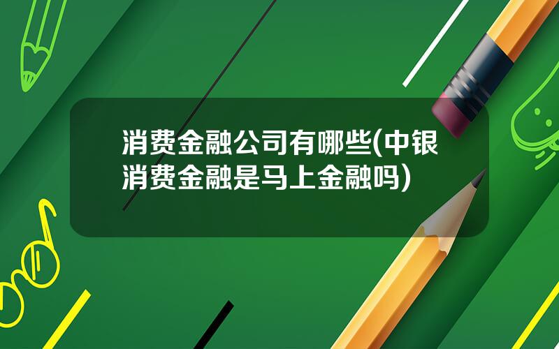 消费金融公司有哪些(中银消费金融是马上金融吗)