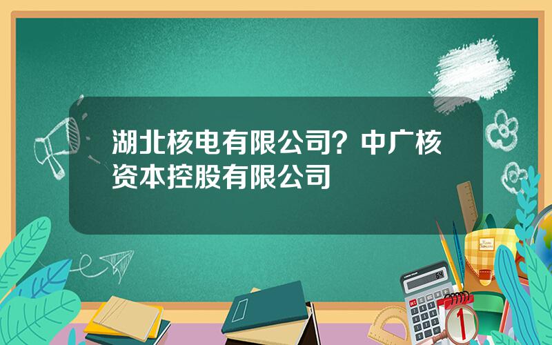 湖北核电有限公司？中广核资本控股有限公司