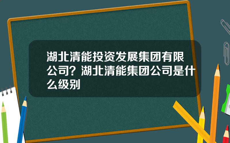 湖北清能投资发展集团有限公司？湖北清能集团公司是什么级别