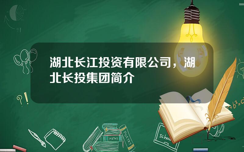 湖北长江投资有限公司，湖北长投集团简介