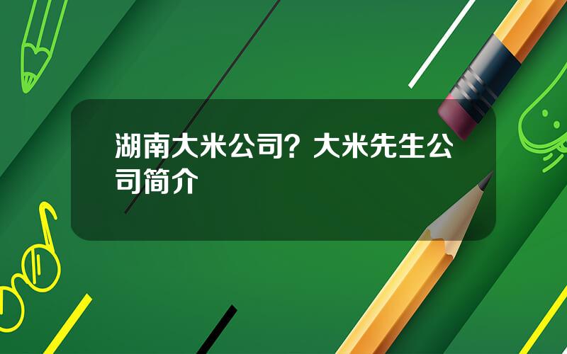 湖南大米公司？大米先生公司简介