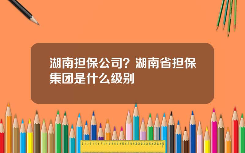 湖南担保公司？湖南省担保集团是什么级别