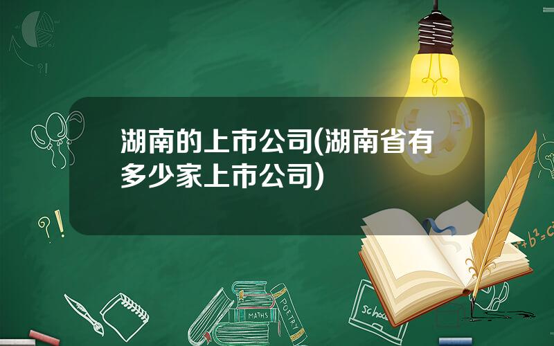 湖南的上市公司(湖南省有多少家上市公司)