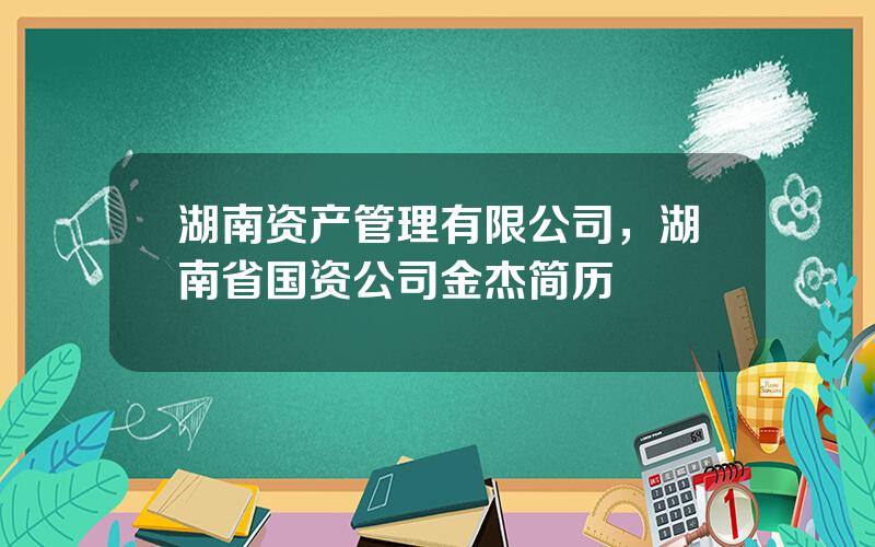 湖南资产管理有限公司，湖南省国资公司金杰简历