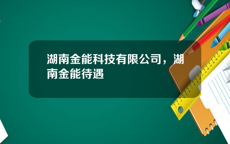 湖南金能科技有限公司，湖南金能待遇