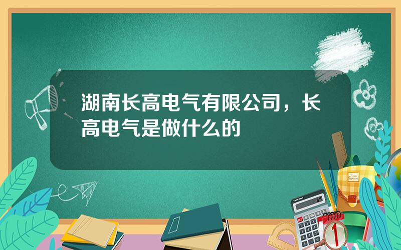 湖南长高电气有限公司，长高电气是做什么的