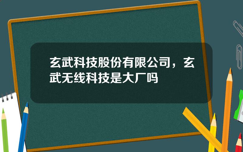 玄武科技股份有限公司，玄武无线科技是大厂吗