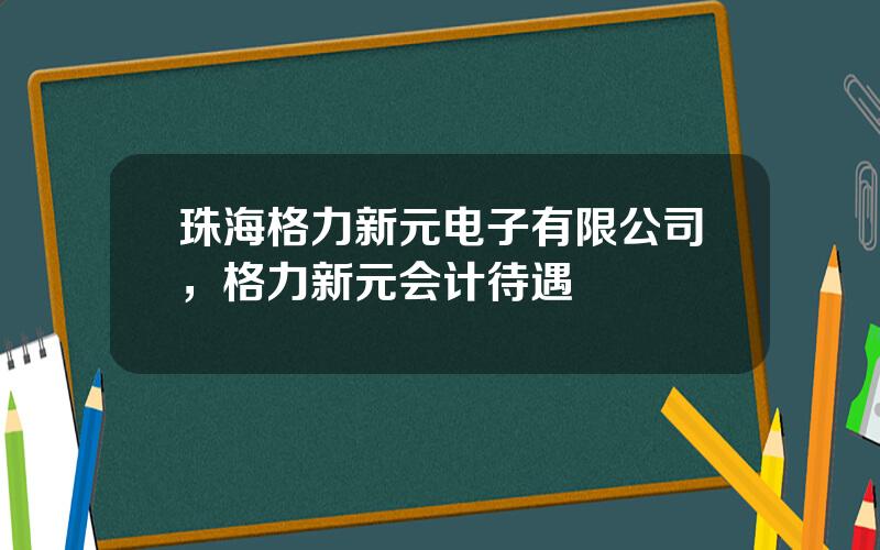 珠海格力新元电子有限公司，格力新元会计待遇