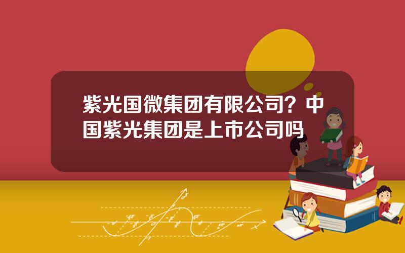 紫光国微集团有限公司？中国紫光集团是上市公司吗