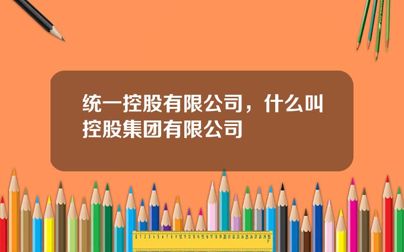 统一控股有限公司，什么叫控股集团有限公司