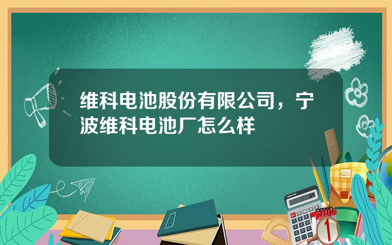 维科电池股份有限公司，宁波维科电池厂怎么样