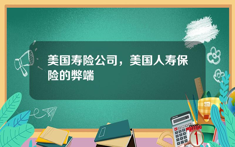 美国寿险公司，美国人寿保险的弊端