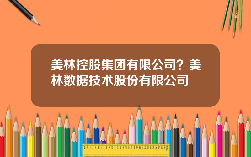 美林控股集团有限公司？美林数据技术股份有限公司