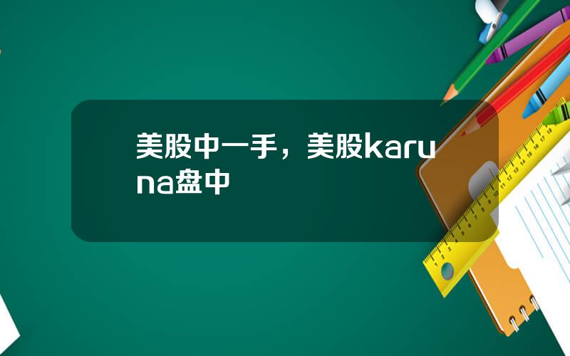 美股中一手，美股karuna盘中