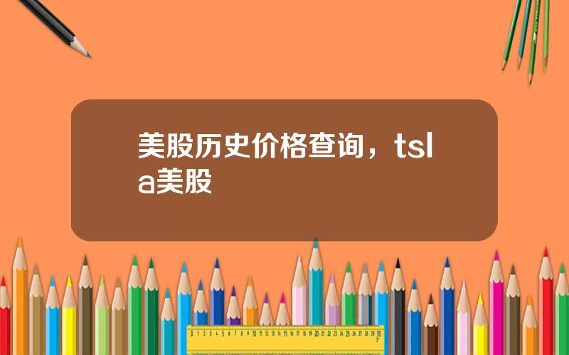 美股历史价格查询，tsla美股