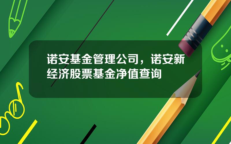 诺安基金管理公司，诺安新经济股票基金净值查询